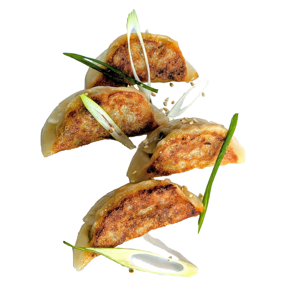 Gyoza vegan - webshop